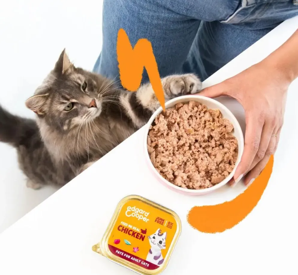 Edgard & Cooper Kat Adult Paté Chicken 85 g