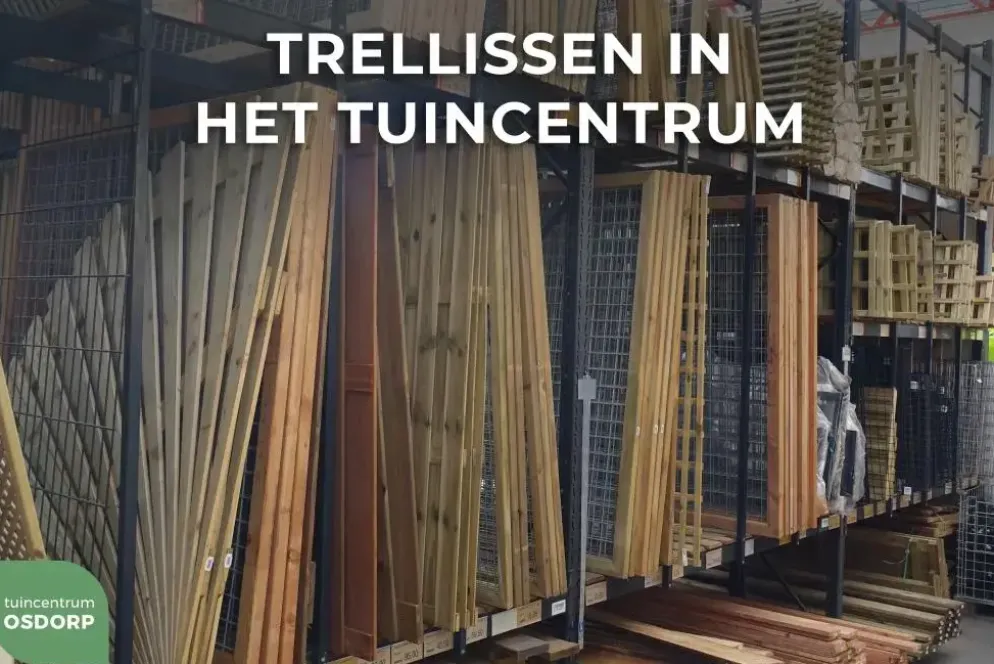 Elephant Trellis almendrillo 177x180cm