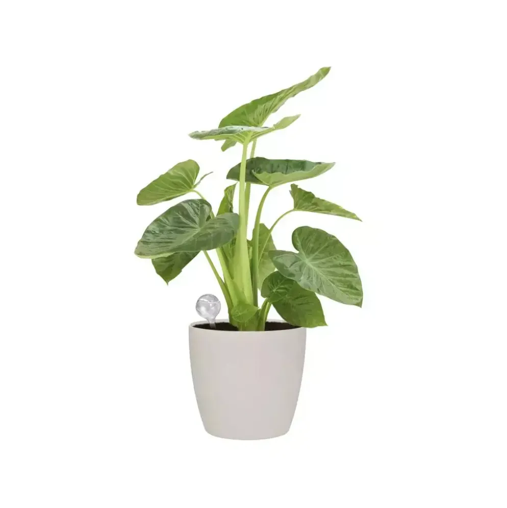 Elho aqua care transparant
