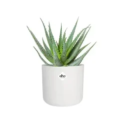 Elho b.for soft bloempot rond 16 cm wit