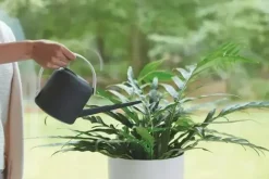 Elho b.for soft gieter 1,7 liter antraciet