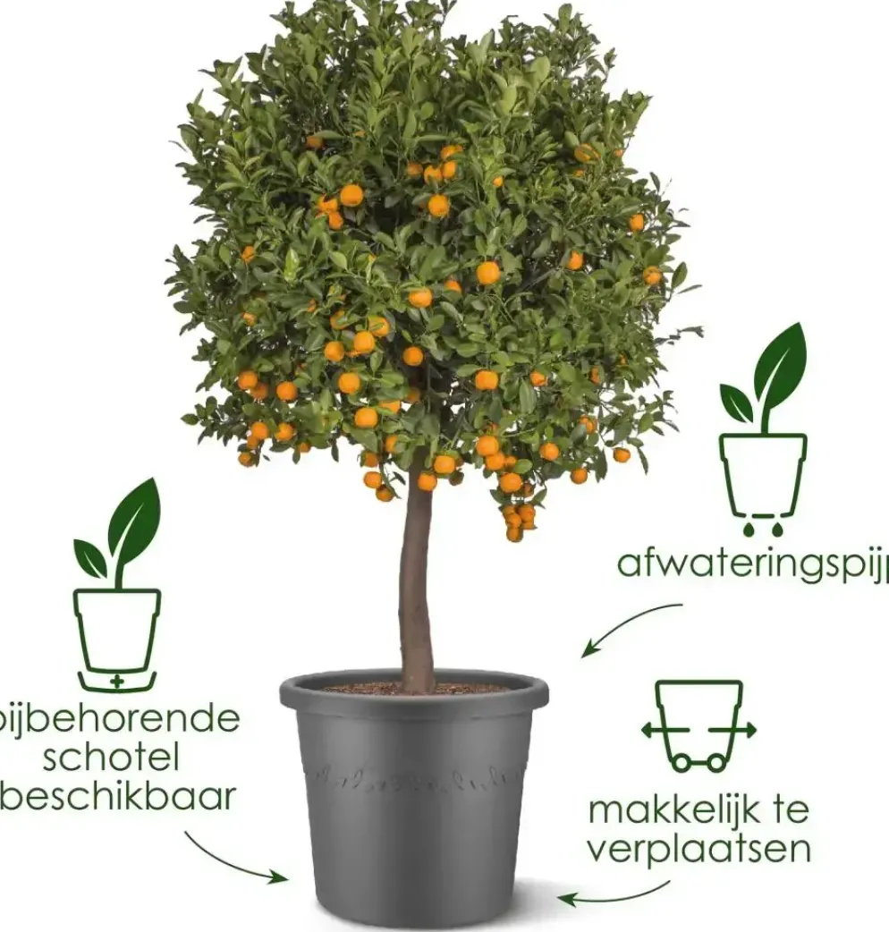 Elho bloempot Algarve Cilindro 40cm antraciet