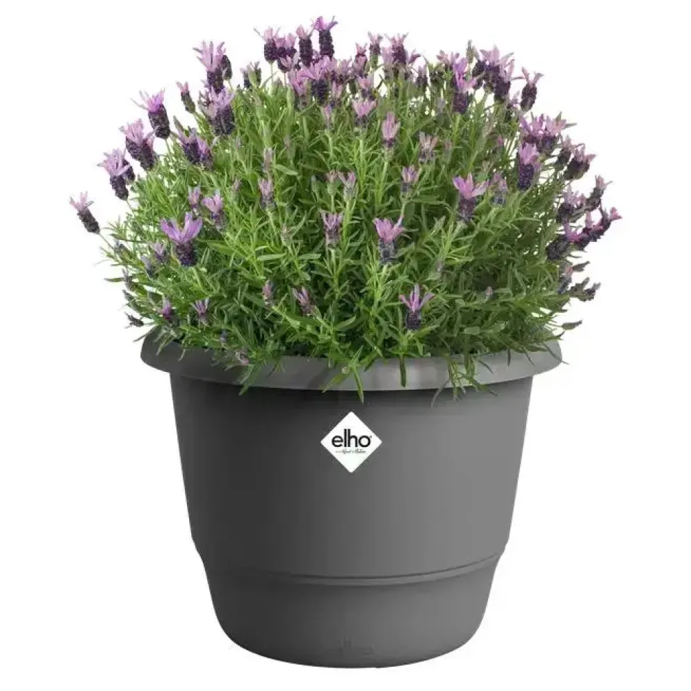 Elho bloempot Amiga rond 30cm antraciet