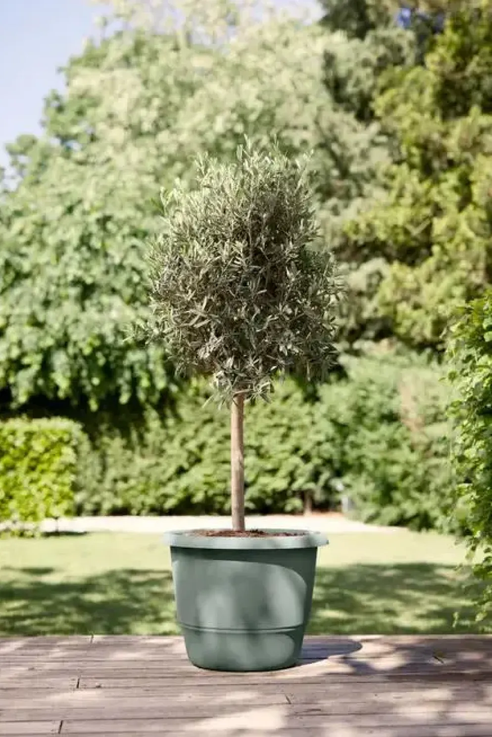 Elho bloempot Amiga rond 30cm tijmgroen