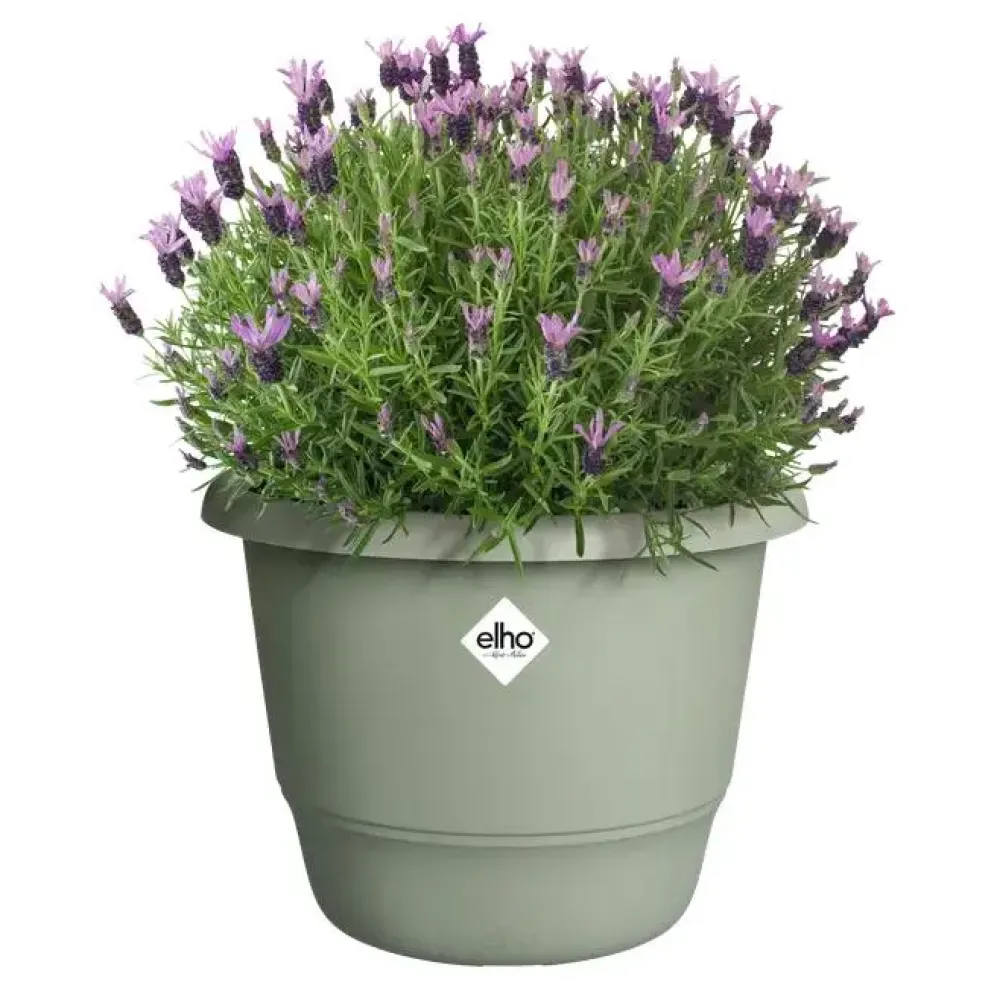 Elho bloempot Amiga rond 30cm tijmgroen