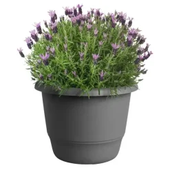 elho bloempot amiga rond d40 h29cm Antraciet