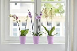 Elho bloempot Brussels orchidee hoog 12,5cm levendig violet