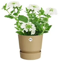 Elho bloempot Greenville 14x13cm goudkleurig zand