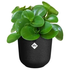 Elho bloempot Jazz Rond 16cm Living black