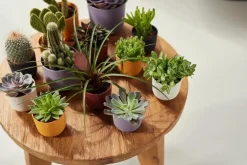 elho bloempot jazz rond mini d9 h9cm Living black