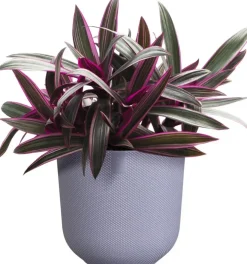 Elho bloempot Jazz rond 19x18cm lavendel lila