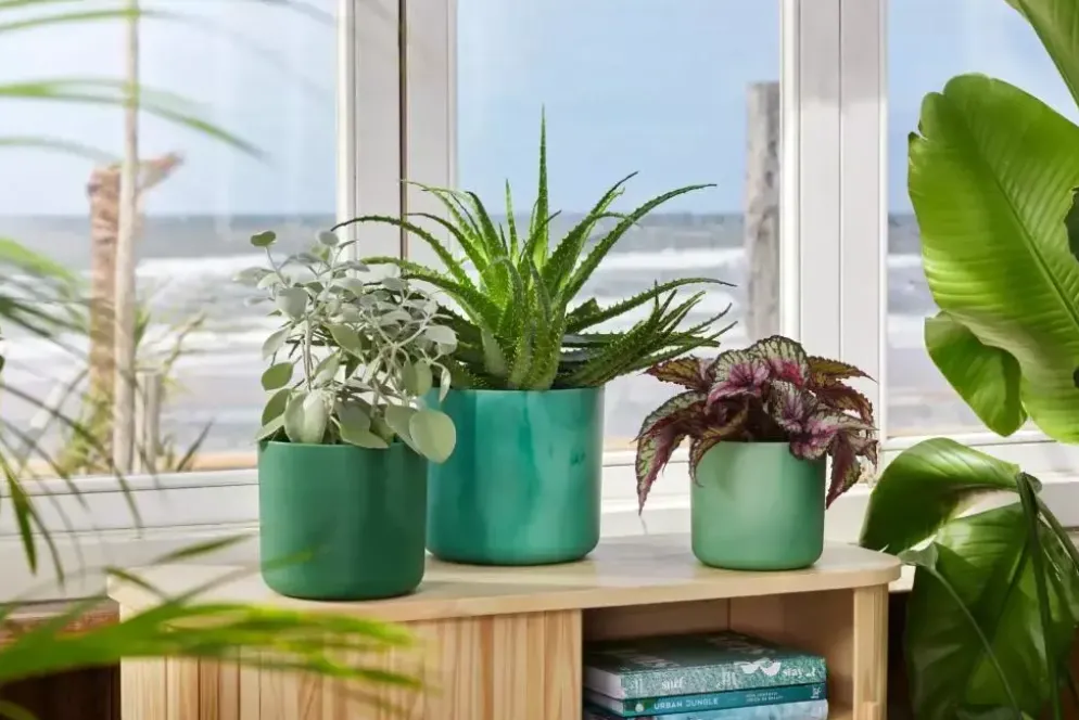 Elho bloempot ocean collection rond 14x13cm pacifisch groen