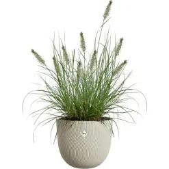 Elho bloempot Sereh 30cm paddenstoel beige