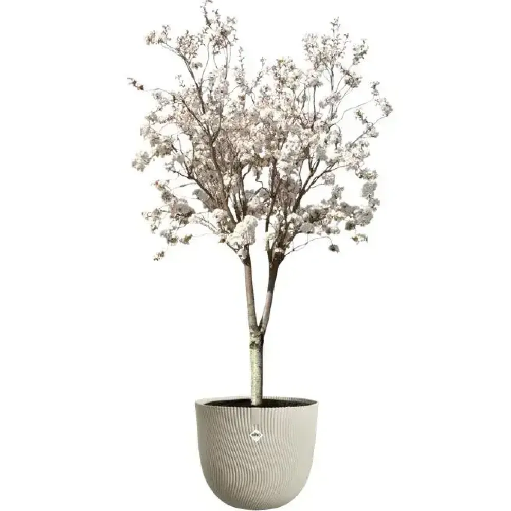Elho bloempot Sereh 47cm paddenstoel beige