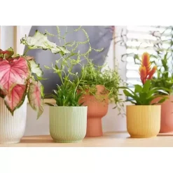 Elho bloempot Vibes fold rond 18x17cm sorbet groen
