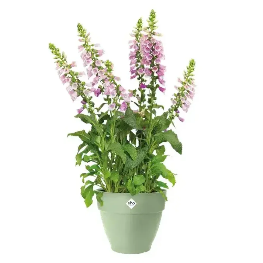 Elho bloempot Vibia Campina 30cm Pistachegroen