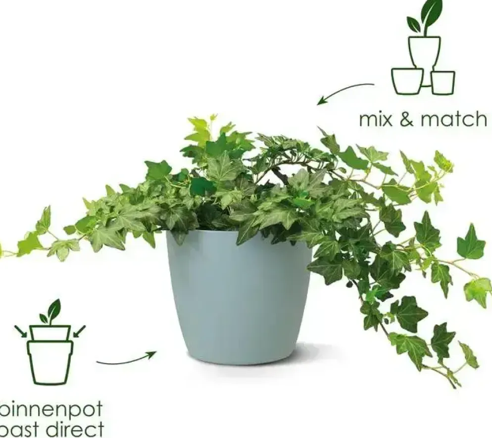Elho brussels bloempot rond 16 cm wit