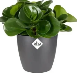 Elho brussels mini bloempot rond 12,5 cm antraciet