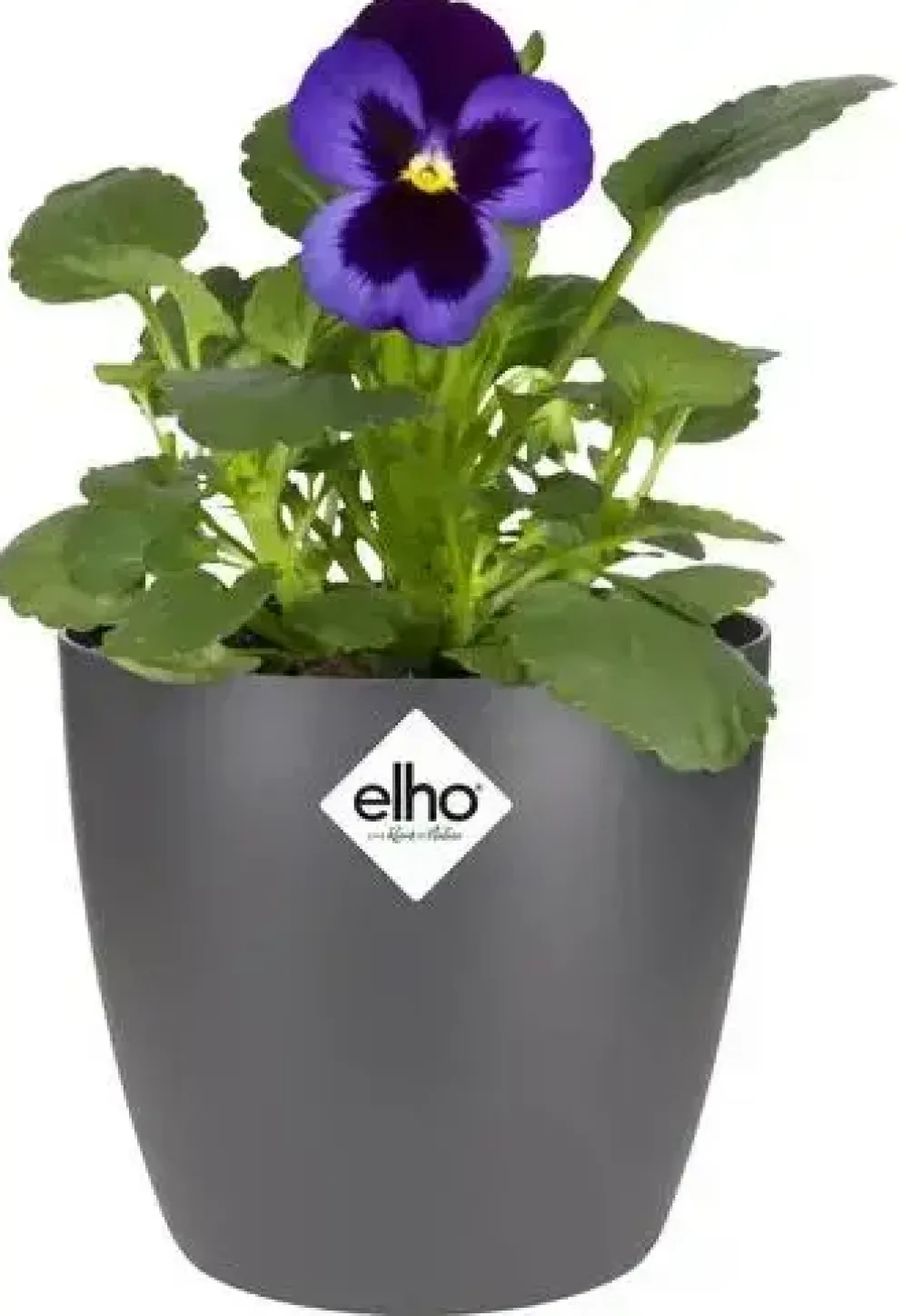 Elho brussels mini bloempot rond 10,5 cm antraciet