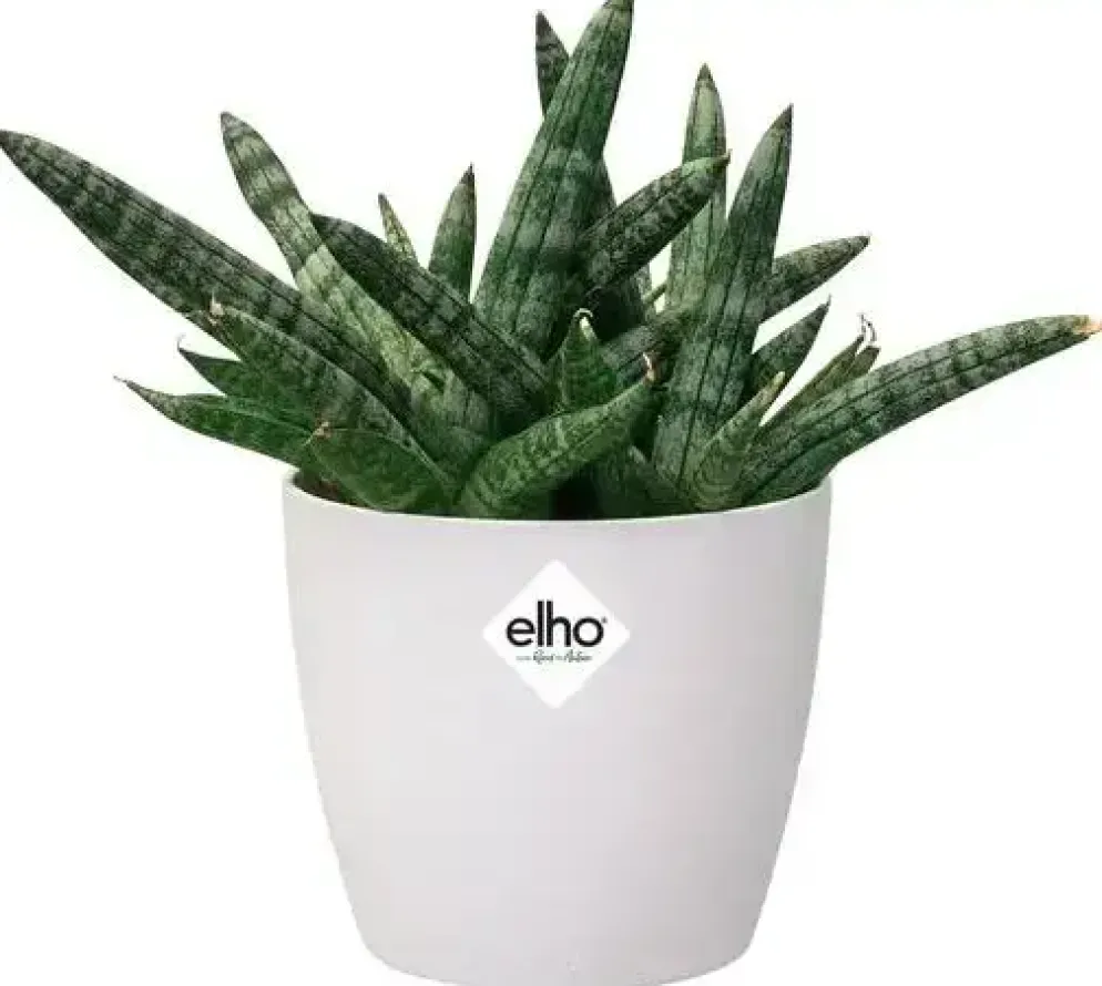 Elho Brussels Mini bloempot rond 10,5 cm wit