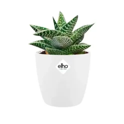Elho Brussels Mini bloempot rond 10,5 cm wit