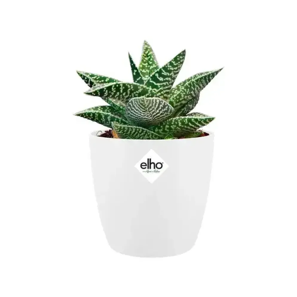 Elho Brussels Mini bloempot rond 10,5 cm wit