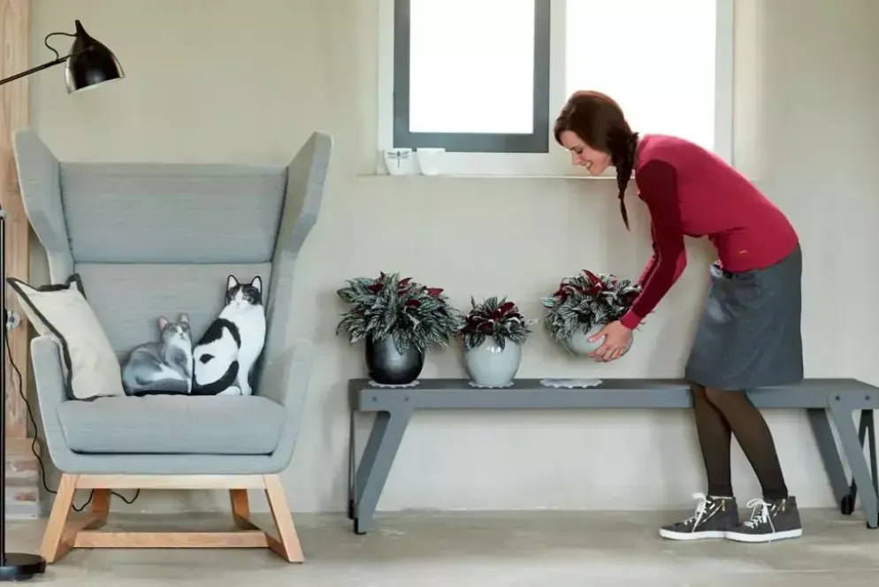 Elho floorprotector rond onderzetter 18 cm transparant