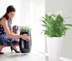 Elho floorprotector rond onderzetter 15 cm transparant