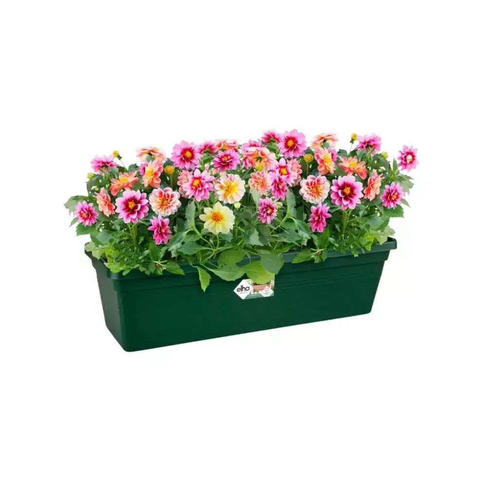 Elho green basics balkonbak 50 cm blad groen