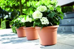 Elho green basics cilinder bloempot 40 cm mild terra