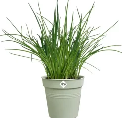 Elho Green Basics kweekpot 11cm steengroen