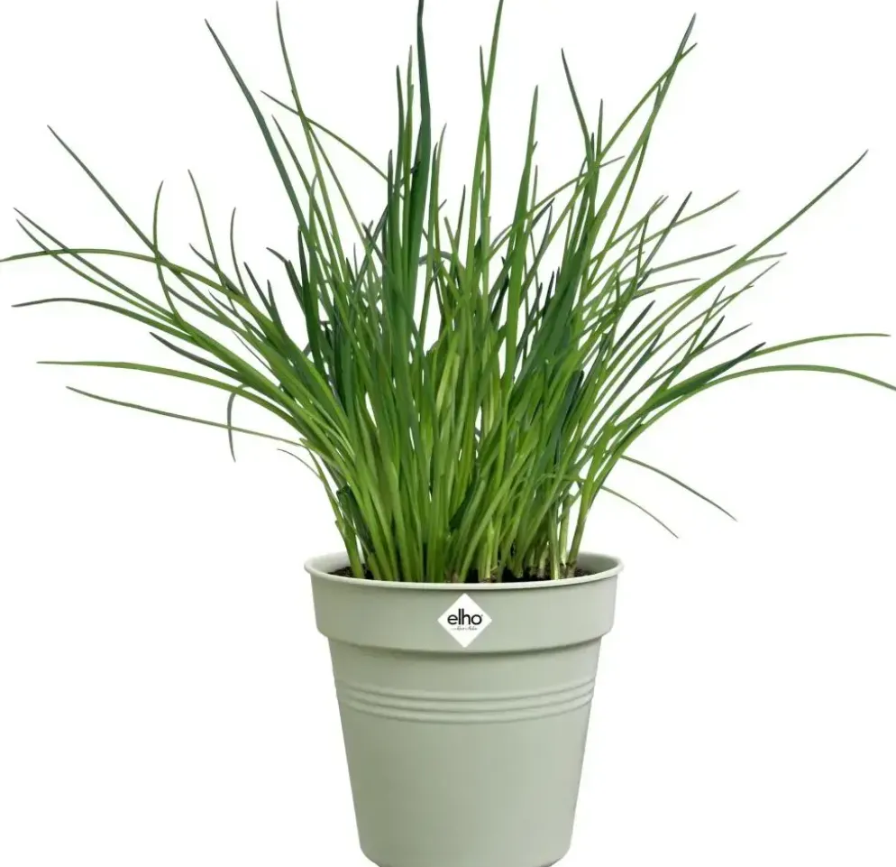 Elho Green Basics kweekpot 11cm steengroen