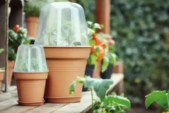 Elho Green Basics kweekpot orchidee 17 transparant
