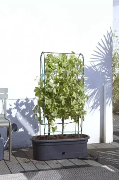 Elho green basics veggie wall 80 cm living black