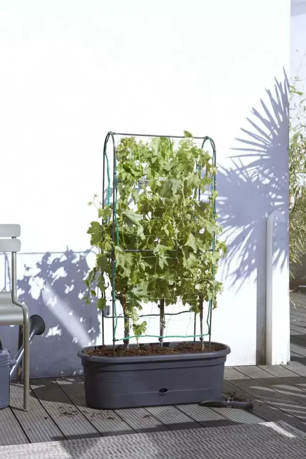 Elho green basics veggie wall 80 cm living black