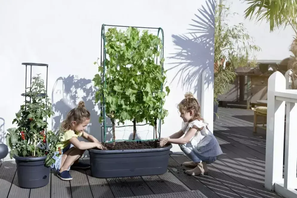 Elho green basics veggie wall 80 cm living black