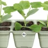 Elho Green Basics zaaitray 22cm steengroen