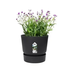 Elho Greenville bloempot 16 cm living black