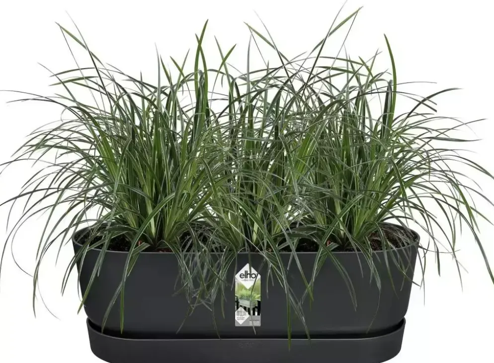 Elho greenville easy balcony 52 cm Living black