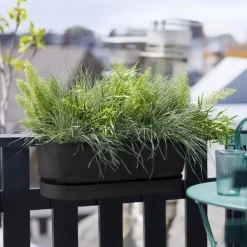 Elho greenville easy balcony 52 cm Living black