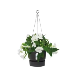 Elho Greenville Hangschaal kunststof 24 cm living black