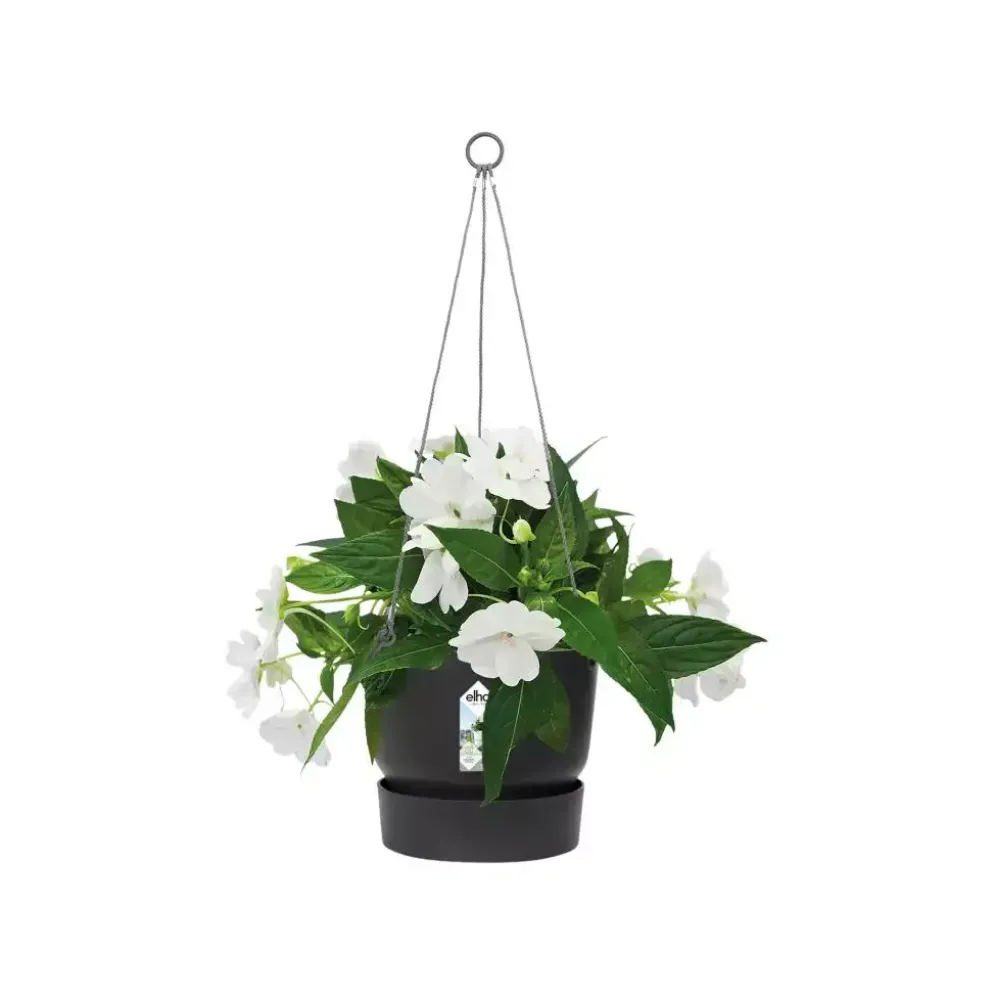 Elho Greenville Hangschaal kunststof 24 cm living black