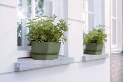 Elho Greenville Trough Long kunststof bloembak 50 cm blad groen