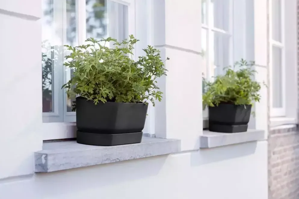 Elho Greenville Trough Long kunststof bloembak 70 cm living black