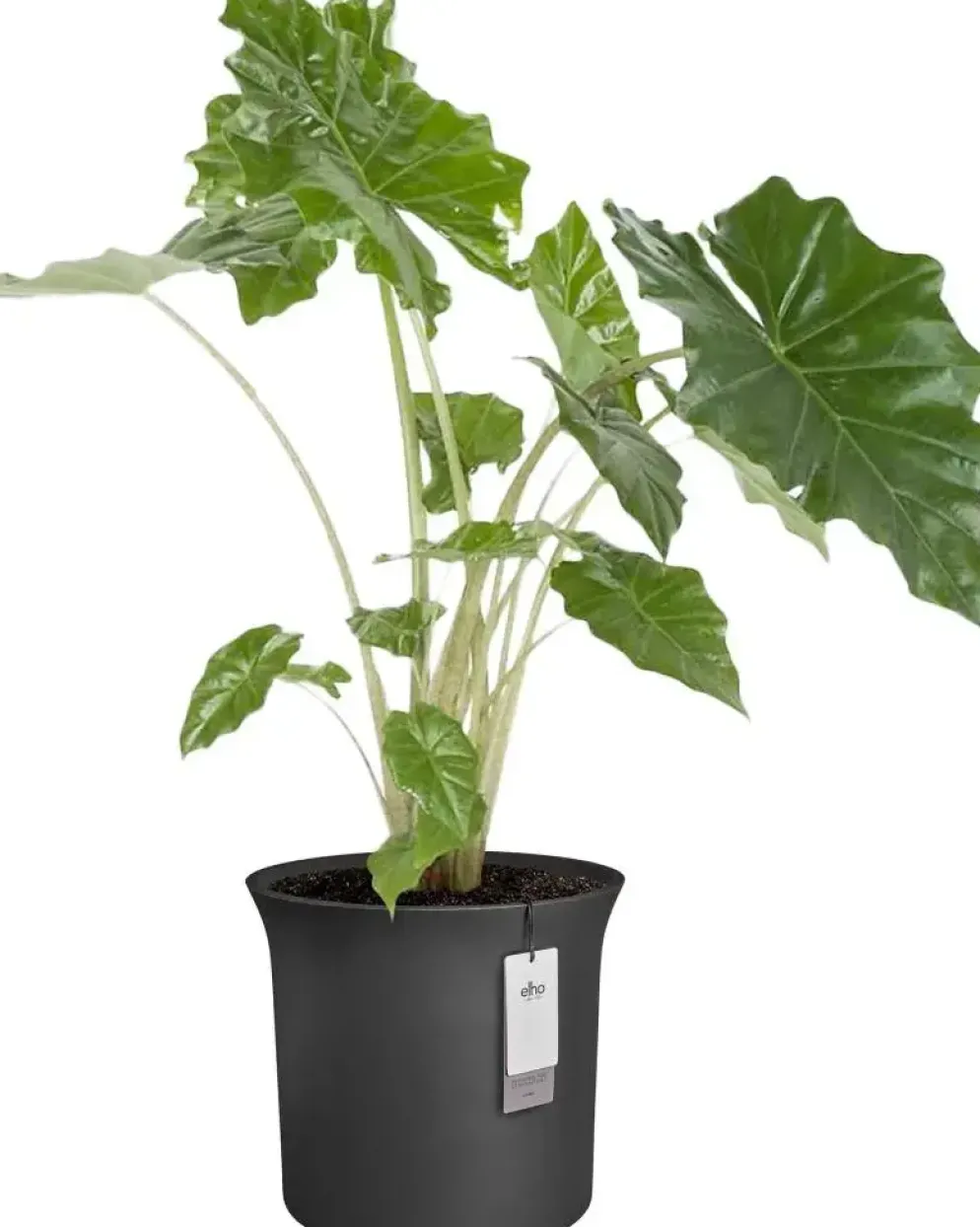 Elho June Tulip 47 - Zwart - Ø 47 x H 43 cm - Binnen en Buiten - 100% gerecycled