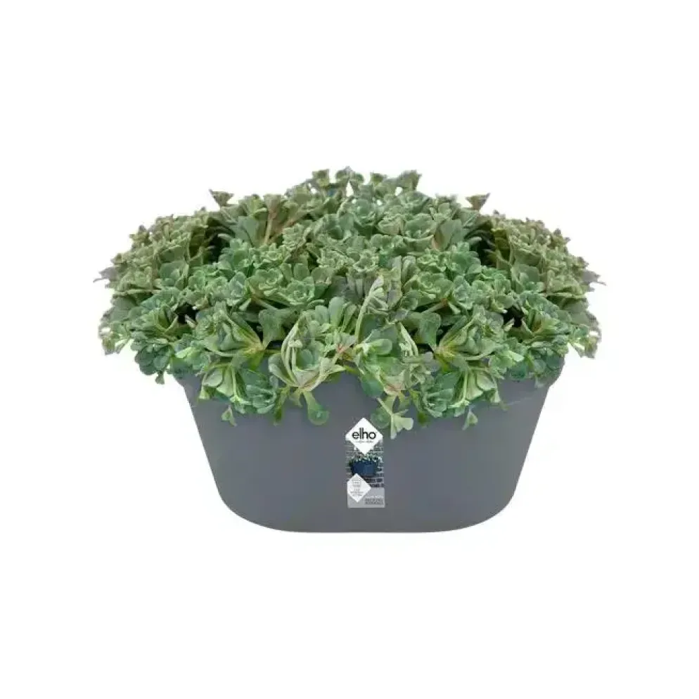 Elho loft urban wandbak 40 cm antraciet