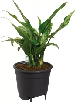 Elho Self-watering Insert Waterreservoir 28 Living Black