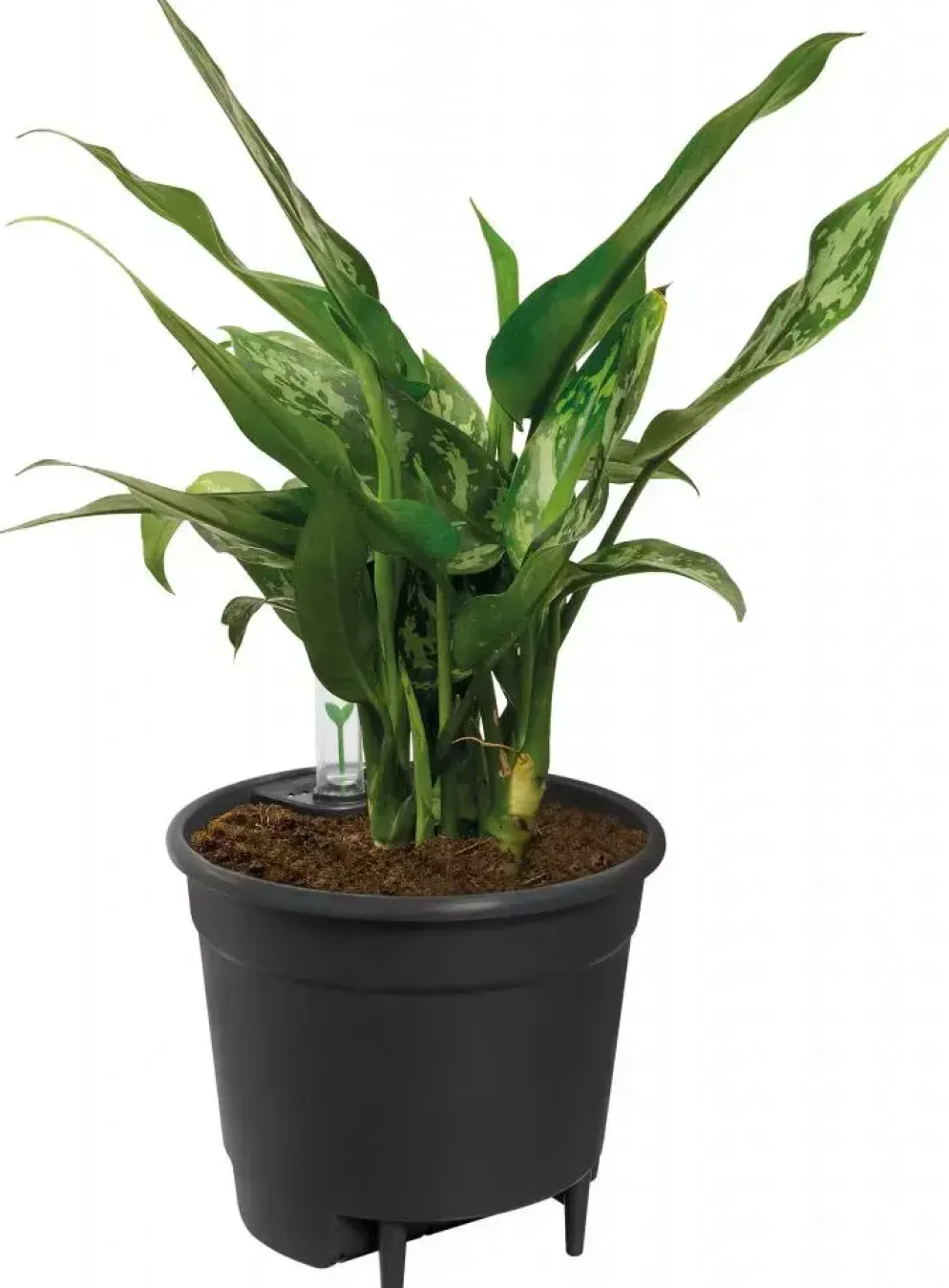 Elho Self-watering Insert Waterreservoir 28 Living Black