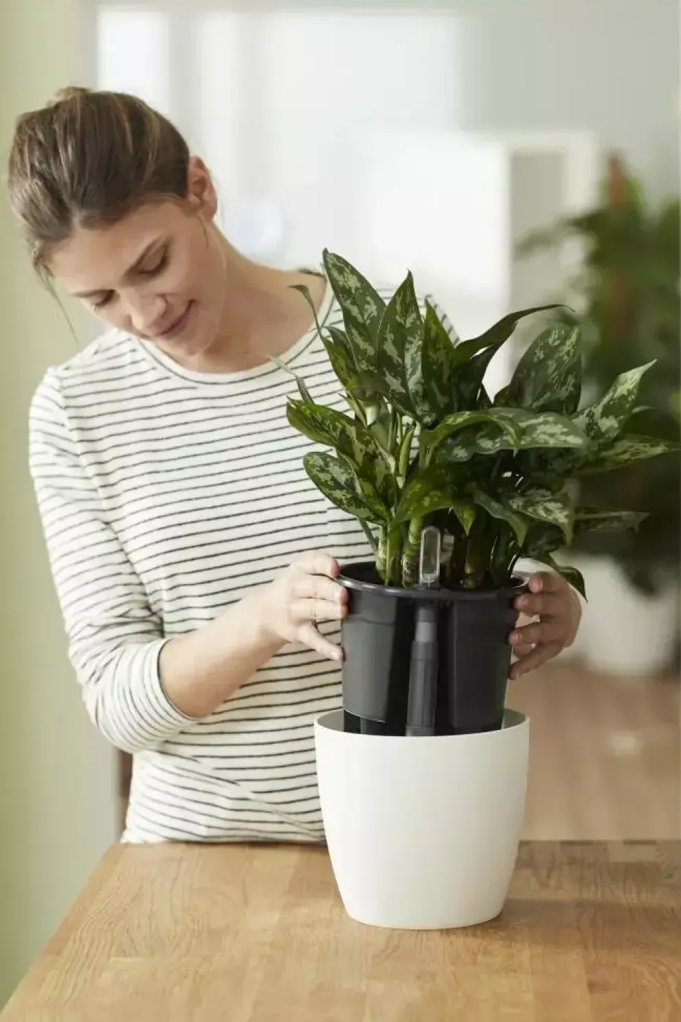 Elho Self-watering Insert Waterreservoir 28 Living Black