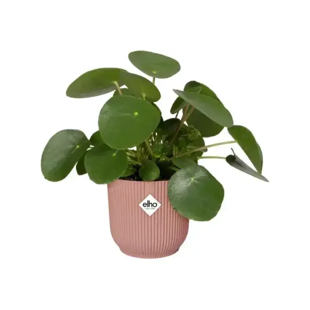 Elho Vibes Fold bloempot 14 cm delicate roze